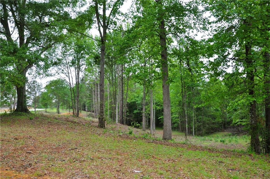 590 Villa Rica Highway Dallas, GA 30157 - Photo 2 of 17 a backyard of a house with large trees