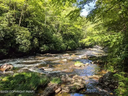a view of a yard with plants and trees