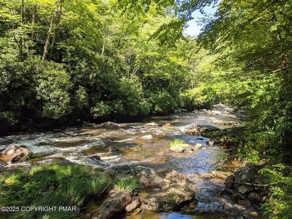 a view of a yard with plants and trees