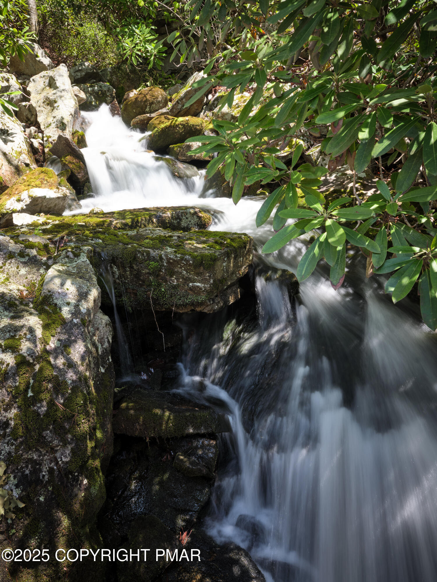 614 Graystones Jeras Road Albrightsville, PA 18210 - Photo 7 of 11 a backyard of a house