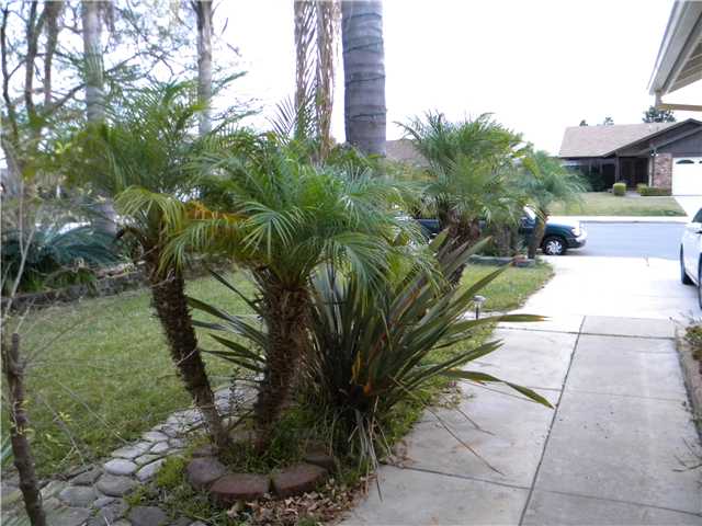 8715 Cordial Road El Cajon, CA 92021 - Photo 18 of 18 Gallery Image 18