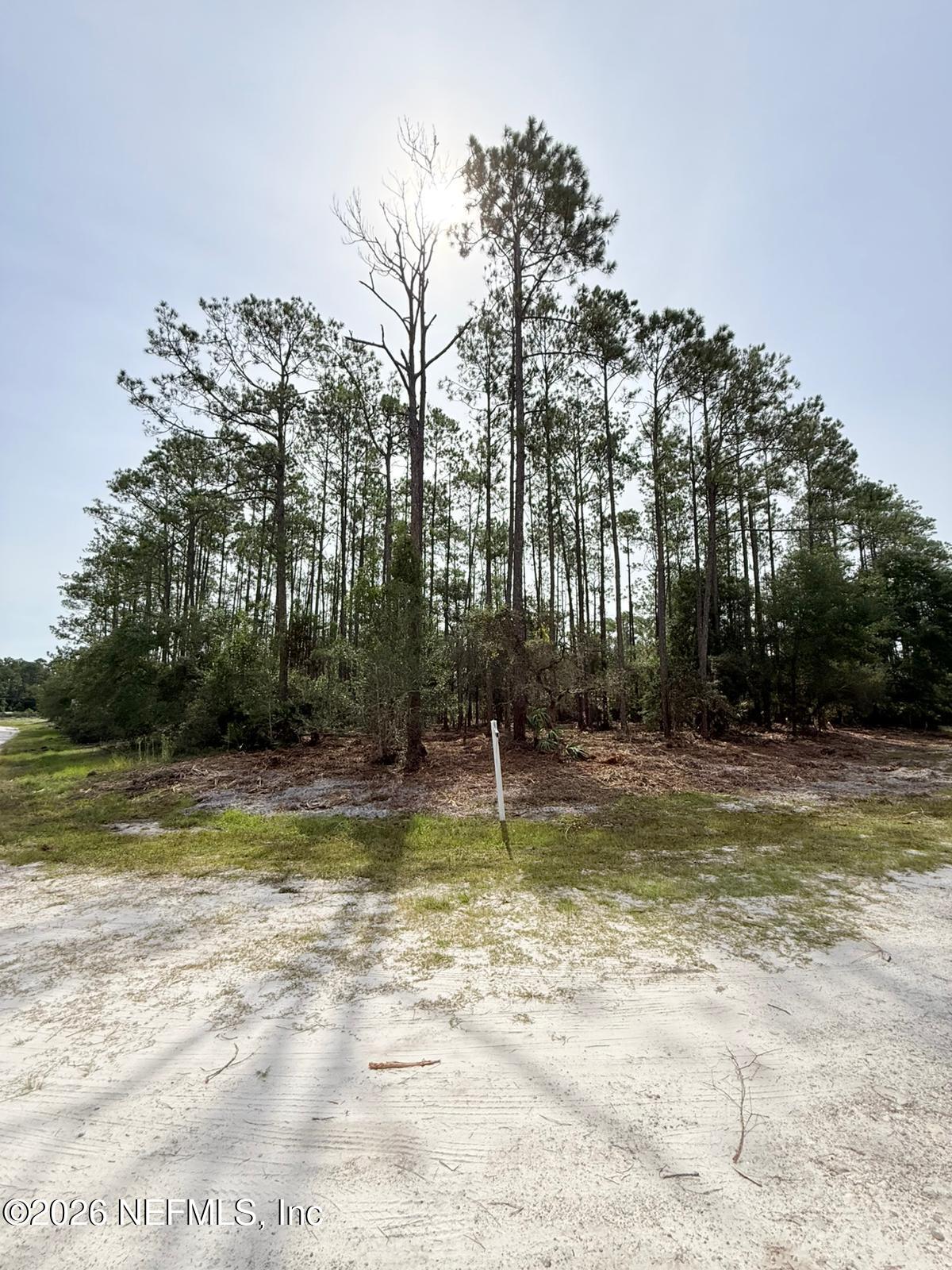 34 Whispering Pines Road Georgetown, FL 32139 - Photo 3 of 8 .