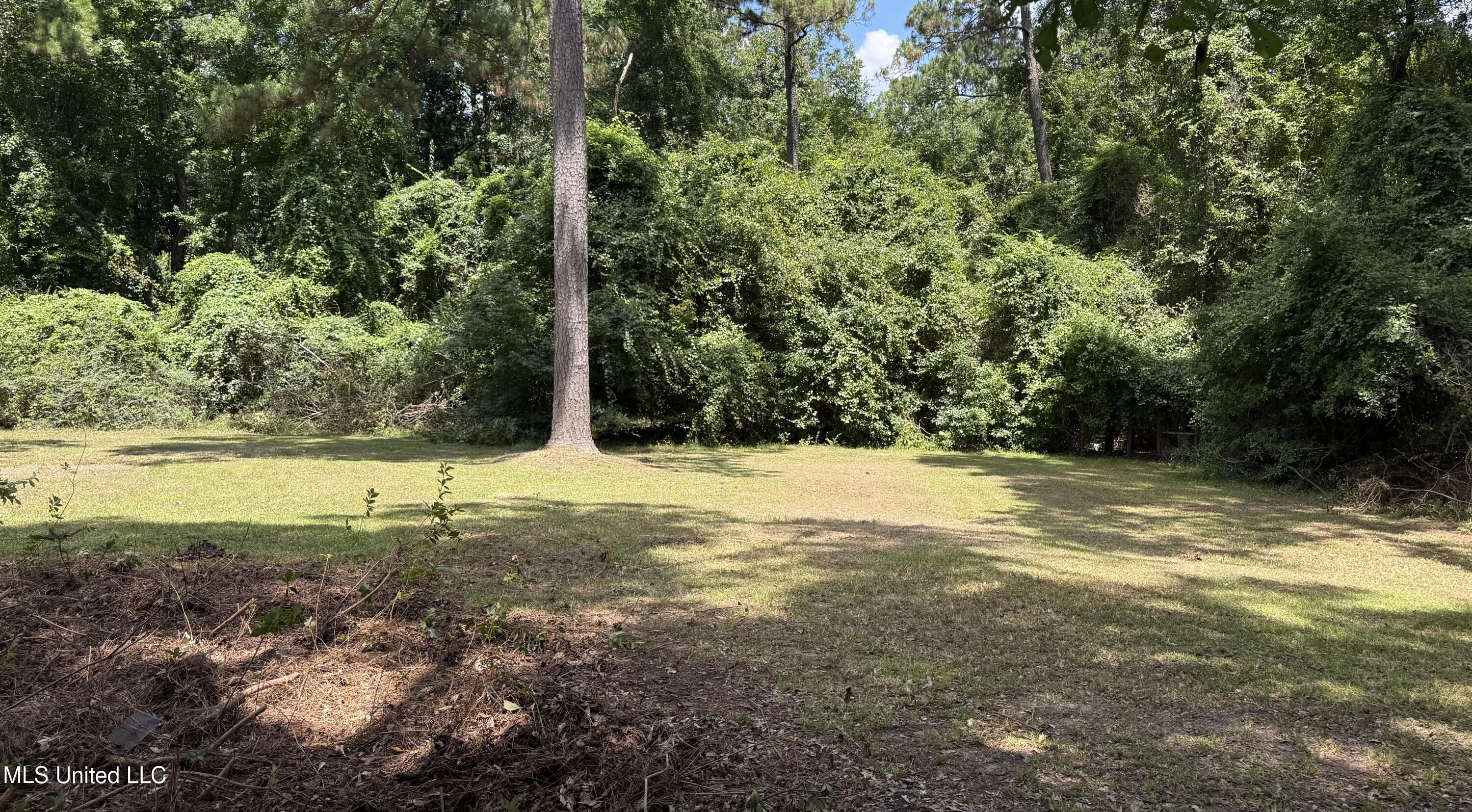 961 Ceasar Road Picayune, MS 39466 - Photo 2 of 25 Photo Jul 22 2025, 12 06 36 PM (1)