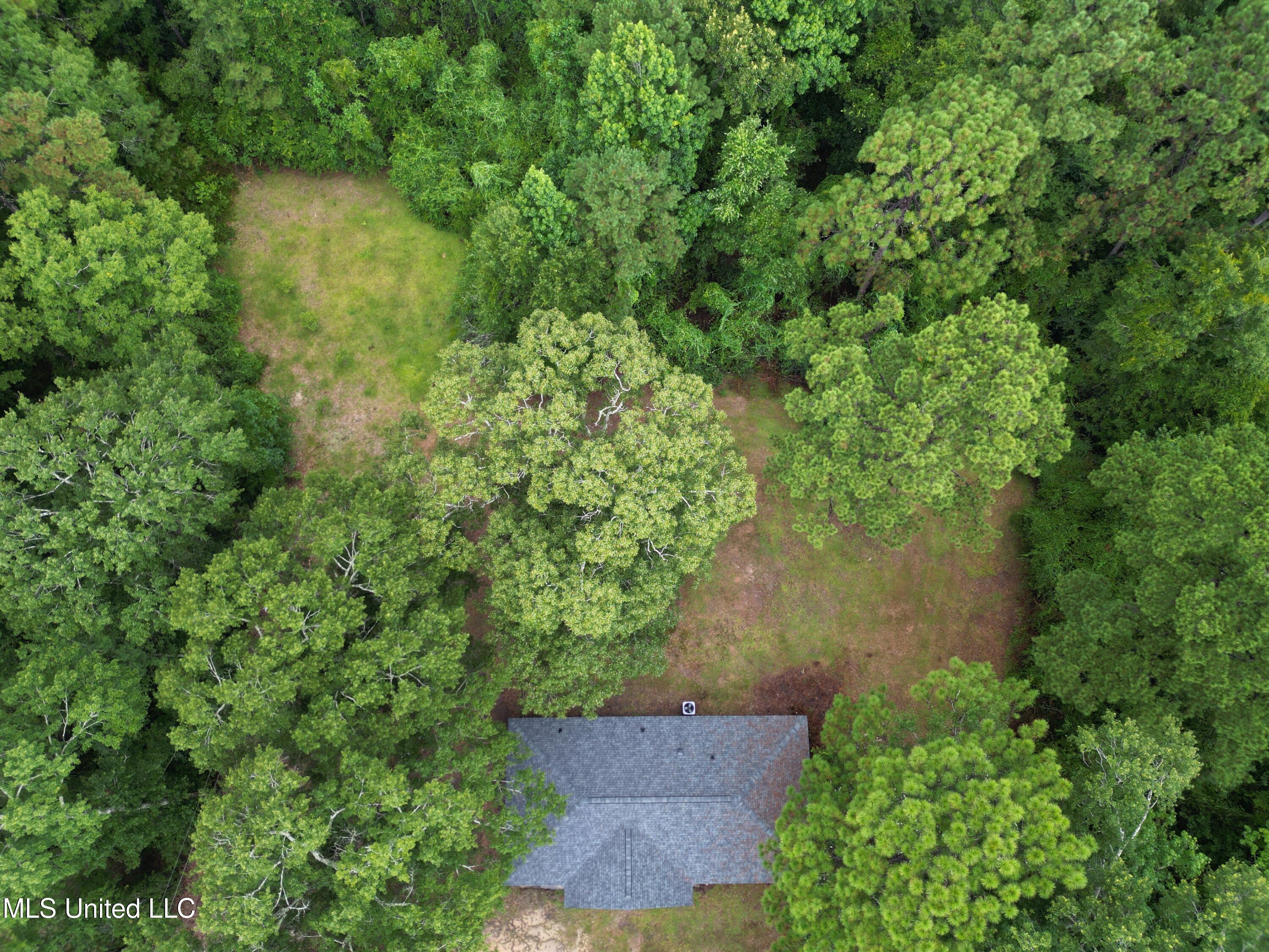 961 Ceasar Road Picayune, MS 39466 - Photo 22 of 25 Photo Jul 24 2025, 19 09 04