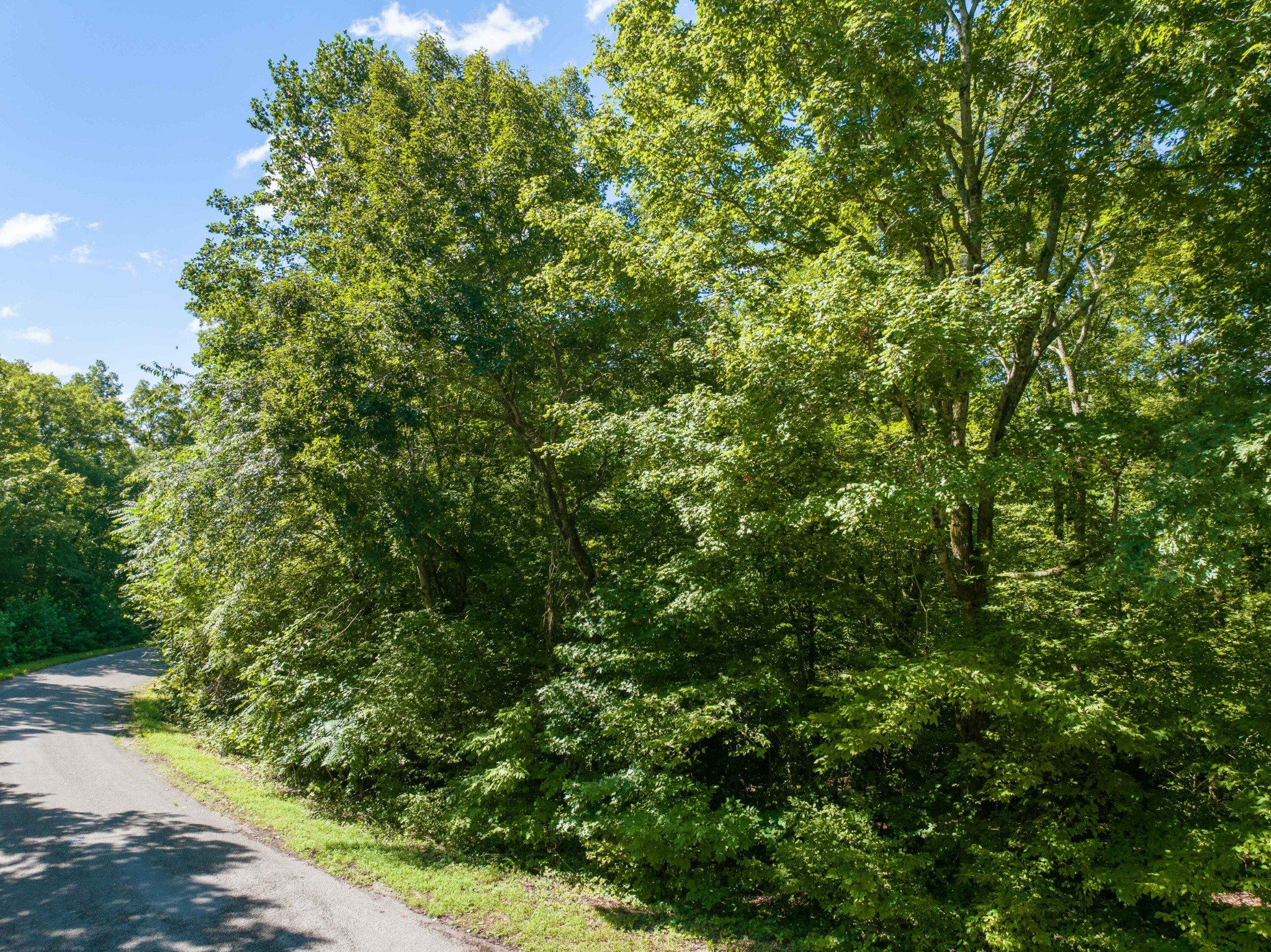 0 Parrish Road Linden, TN 37096 - Photo 11 of 21