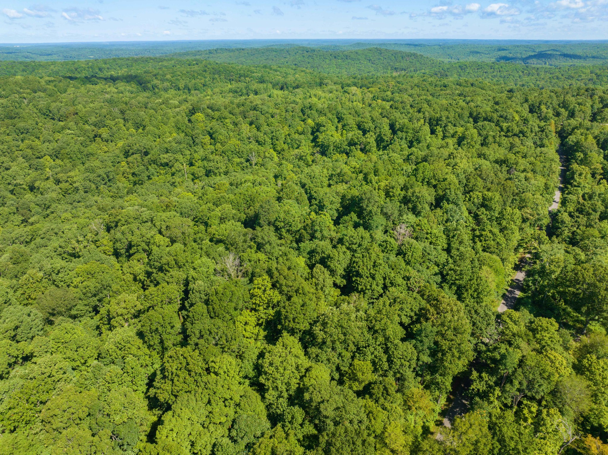0 Parrish Road Linden, TN 37096 - Photo 14 of 21 a view of a green field with lots of bushes