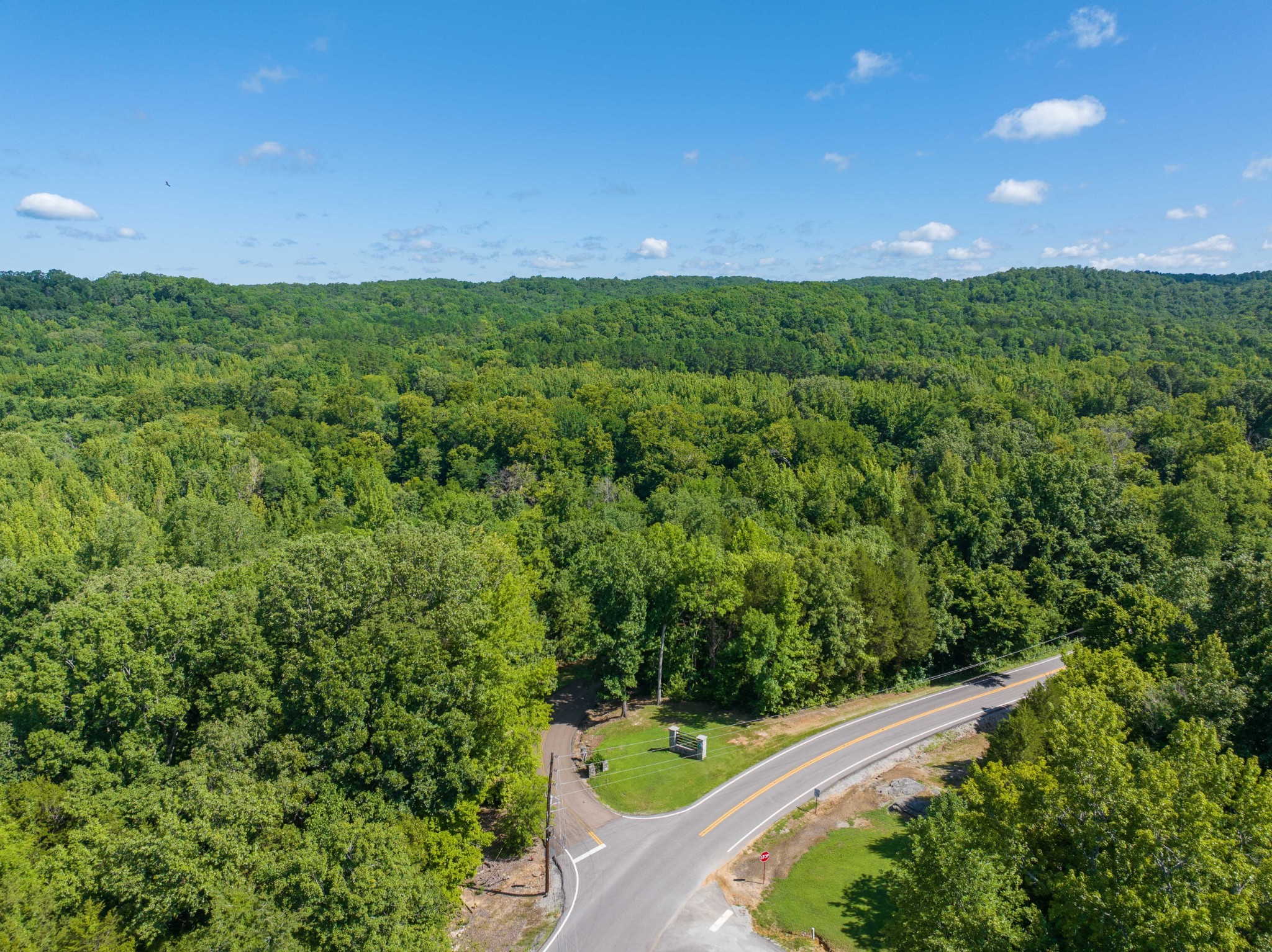 0 Parrish Road Linden, TN 37096 - Photo 15 of 21 a view of outdoor space and yard
