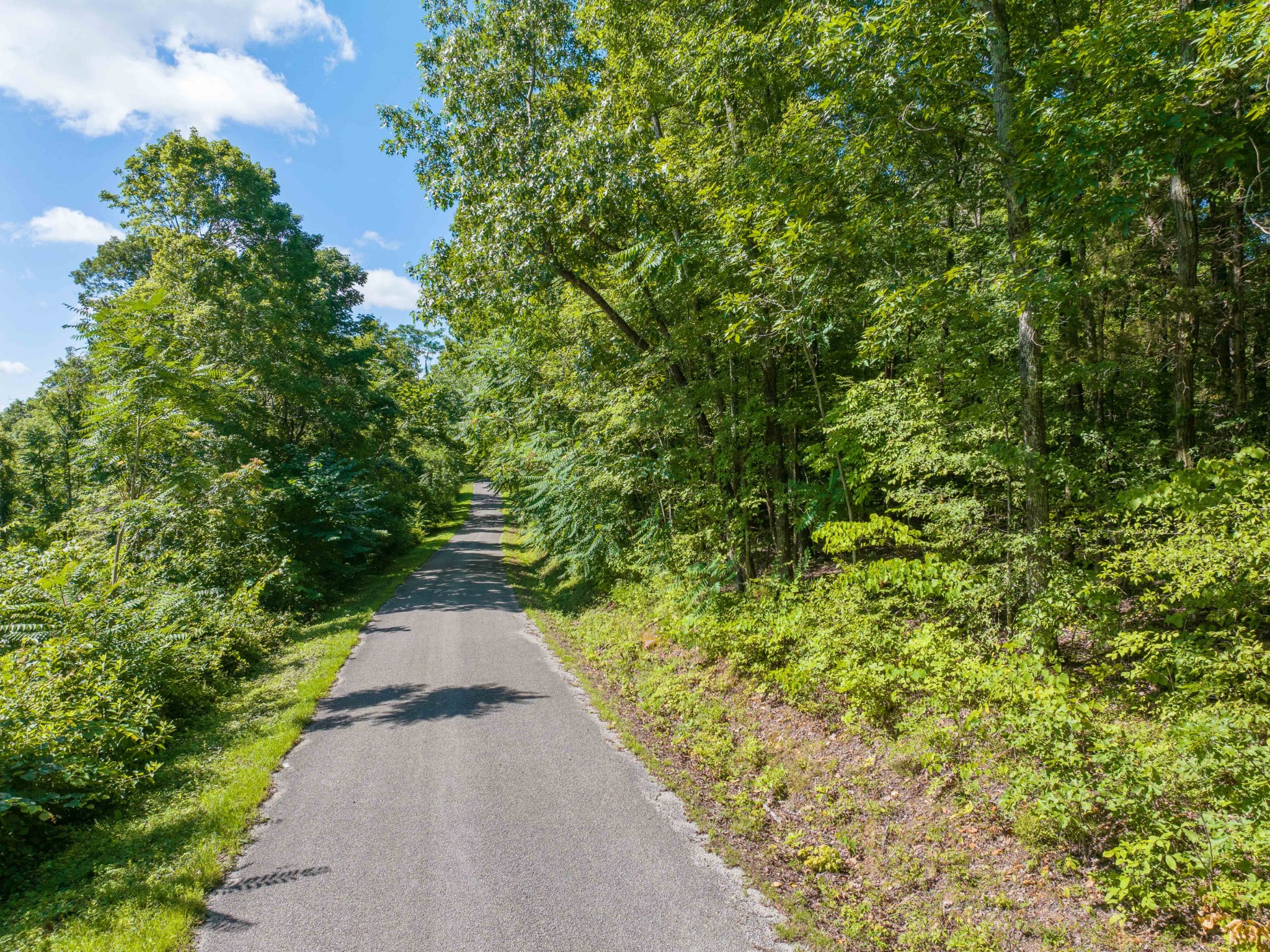 0 Parrish Road Linden, TN 37096 - Photo 4 of 21 a view of a pathway both side of yard