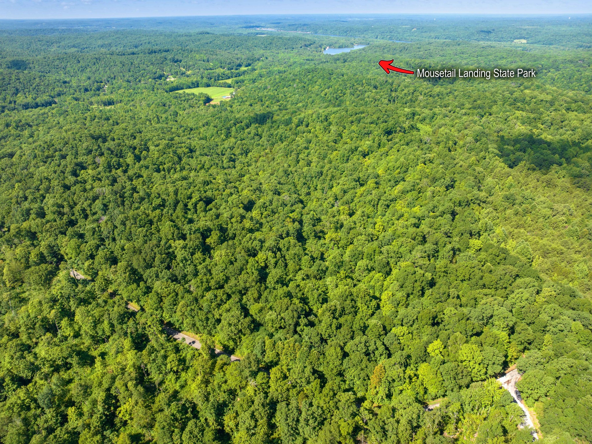 0 Parrish Road Linden, TN 37096 - Photo 5 of 21 a view of a lush green field with lots of bushes