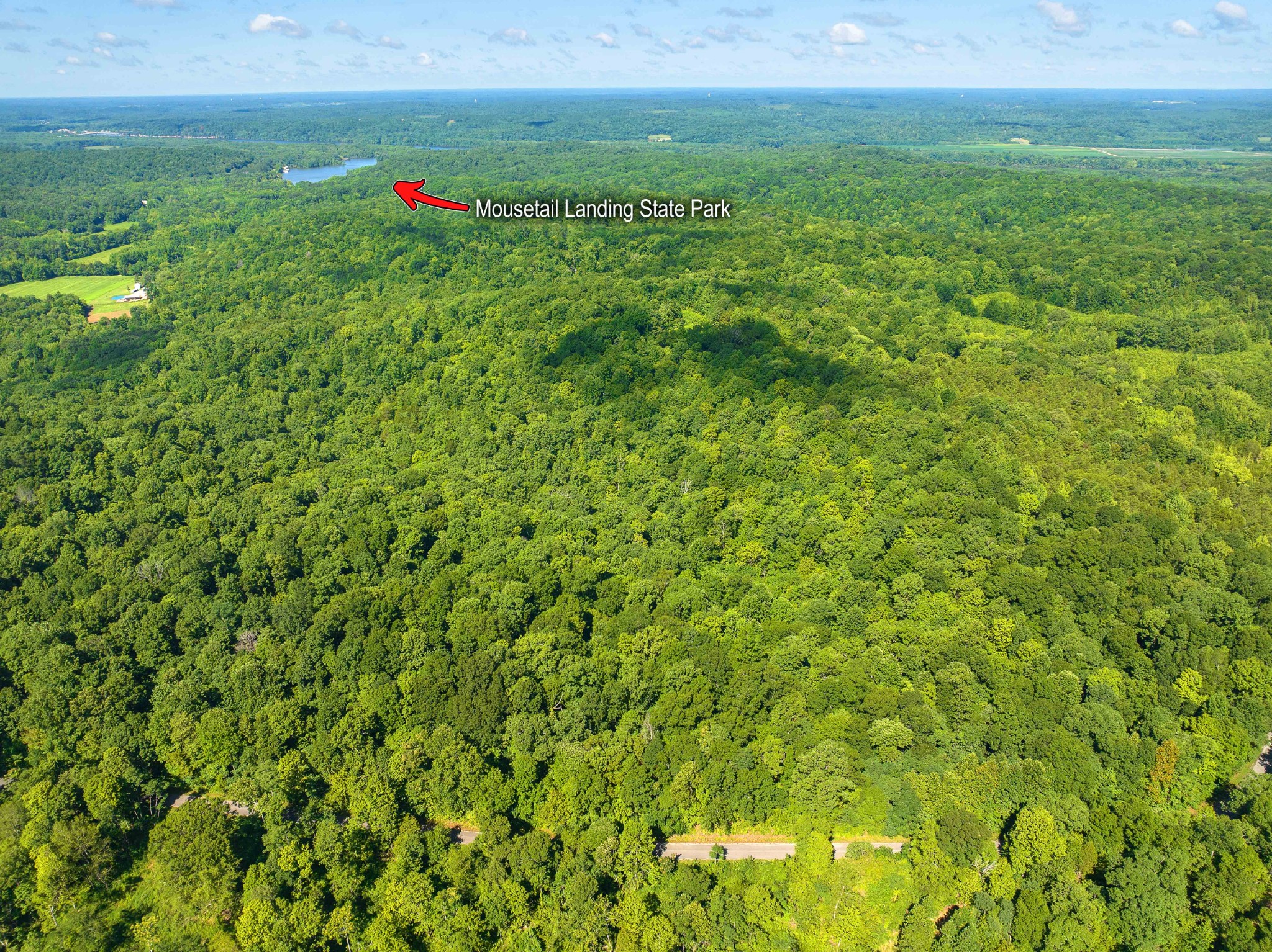 0 Parrish Road Linden, TN 37096 - Photo 6 of 21