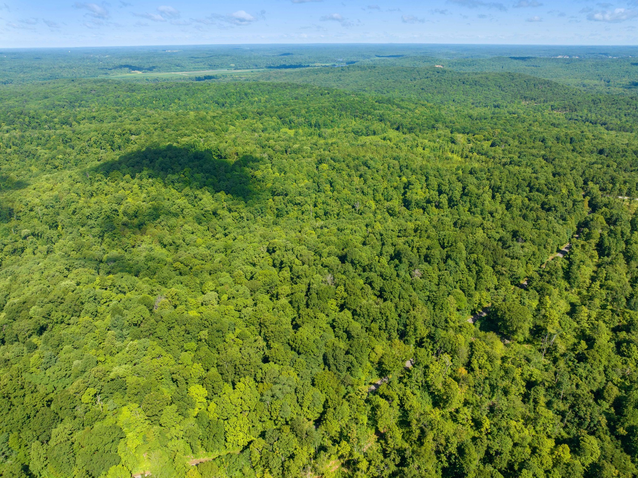 0 Parrish Road Linden, TN 37096 - Photo 8 of 21 a view of an outdoor space with a lake view