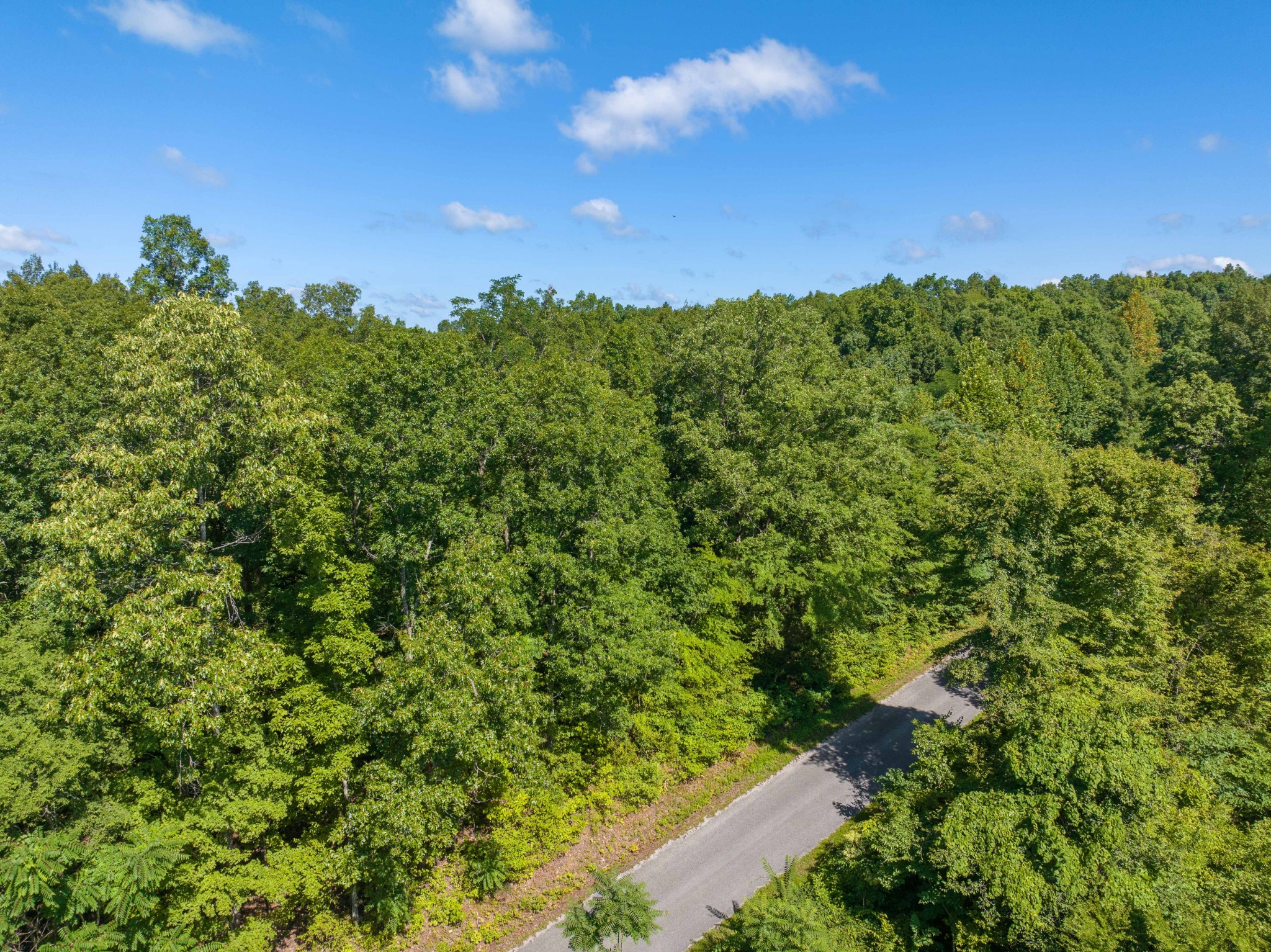 0 Parrish Road Linden, TN 37096 - Photo 9 of 21 a view of a bunch of trees