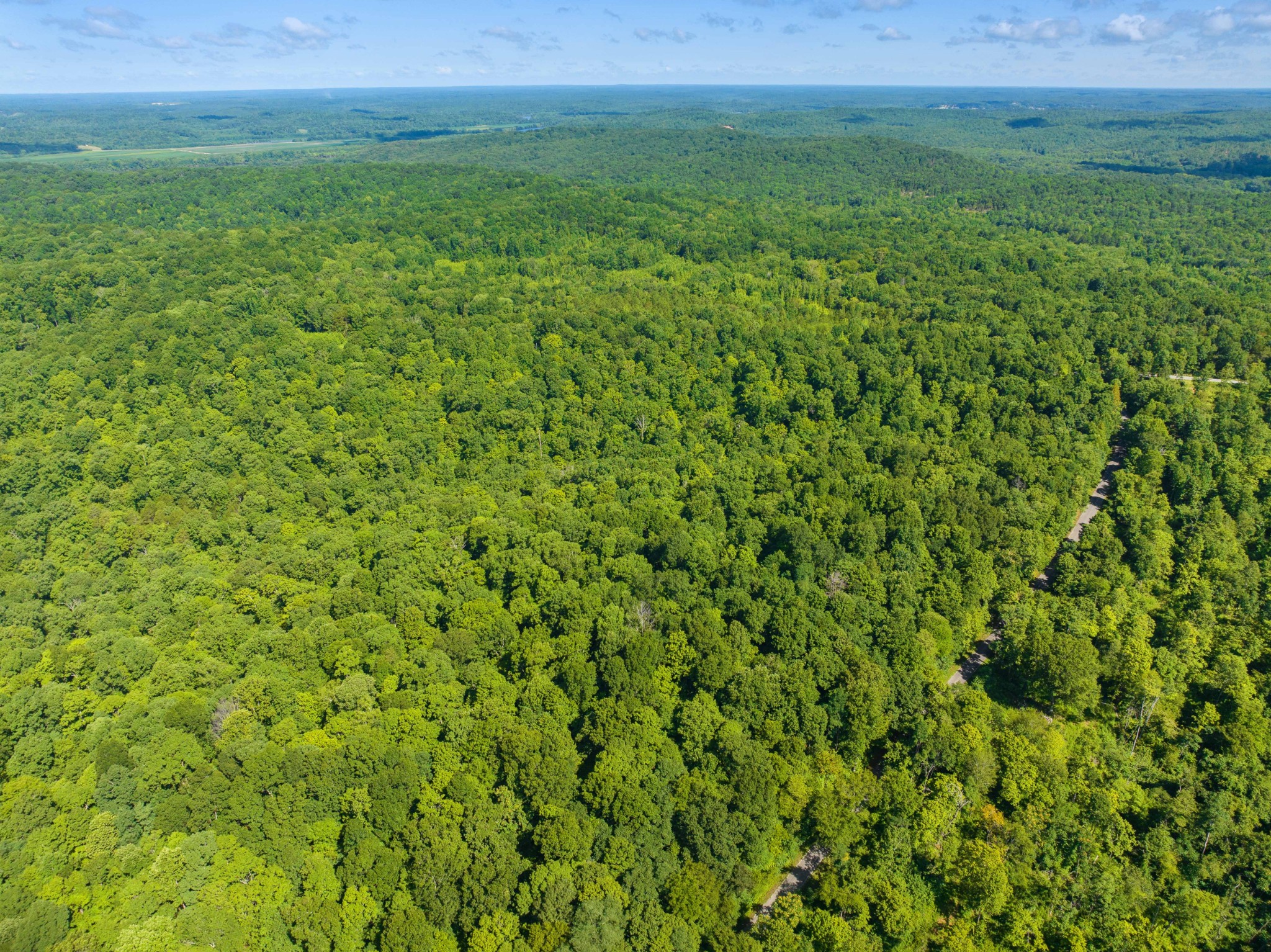 0 Parrish Road Linden, TN 37096 - Photo 10 of 21 a view of a big yard with a plants and large trees
