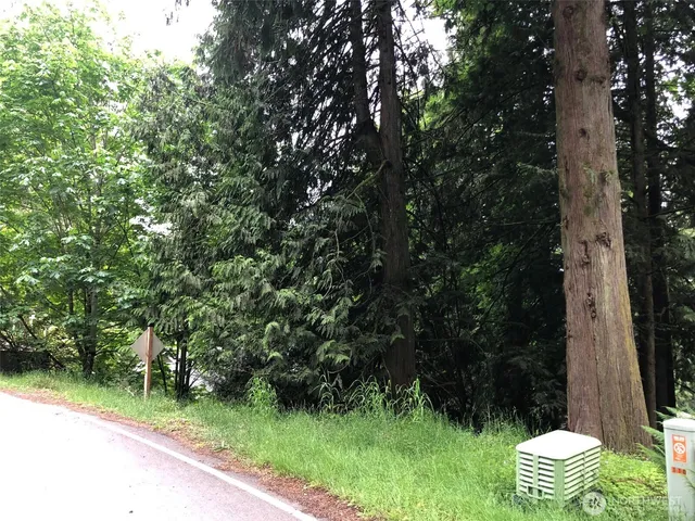 a view of an outdoor space and a yard