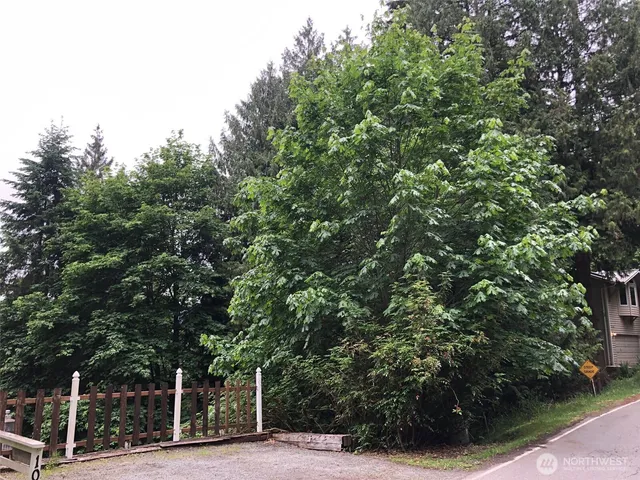 a view of road with trees
