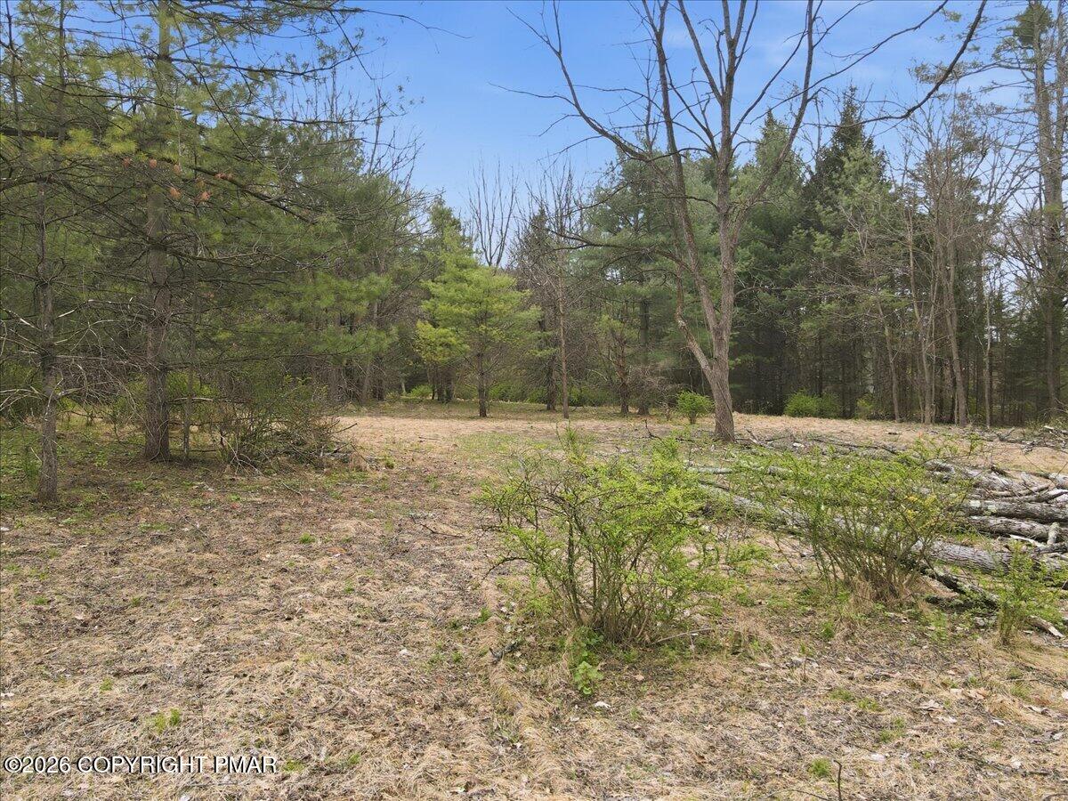 Masthope Plank Road Lackawaxen, PA 18435 - Photo 2 of 7 42-018_Photo Apr 28 2026, 3 43 05 PM