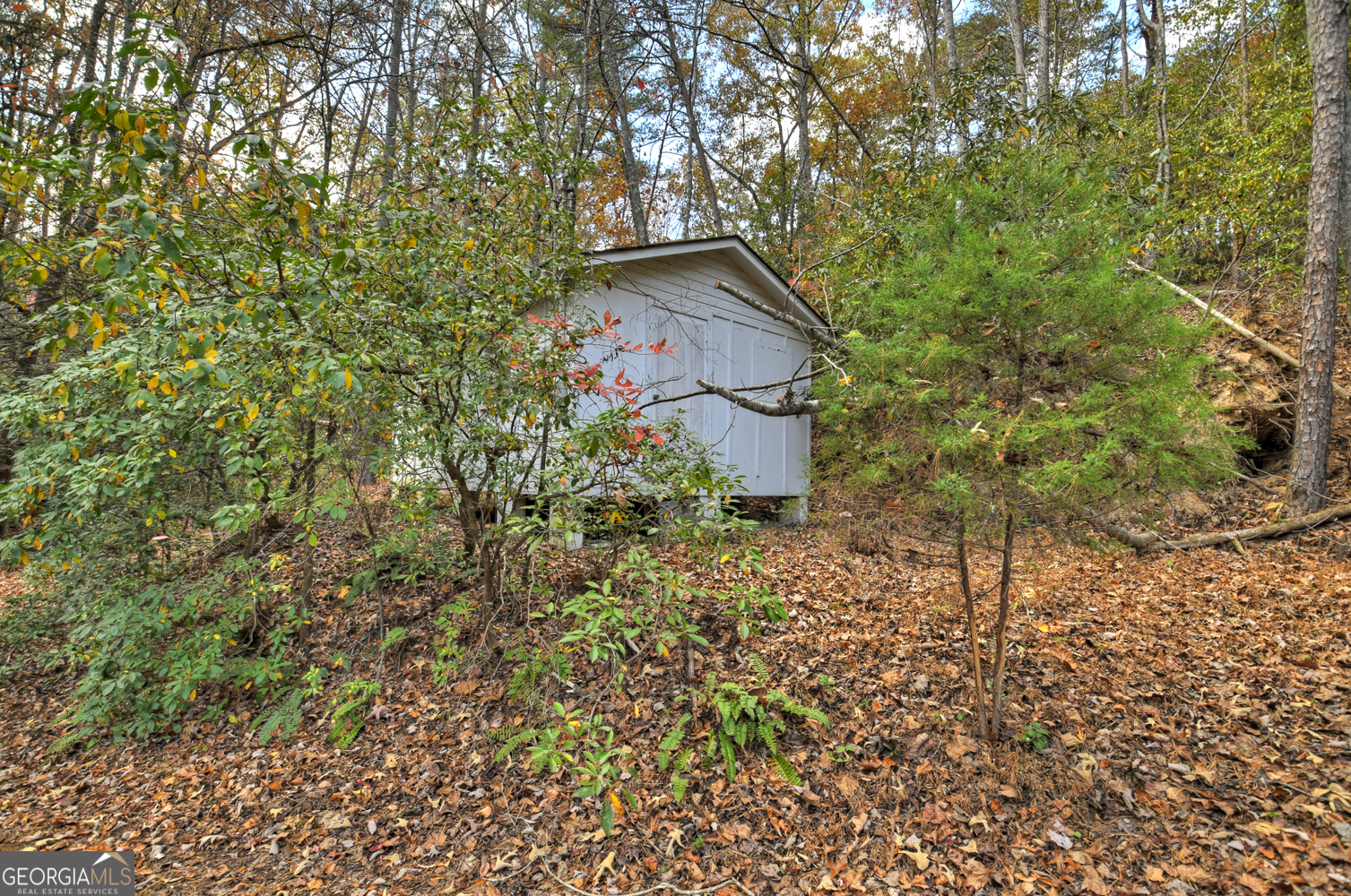 23-AC Weaver Creek Road Blue Ridge, GA 30513 - Photo 6 of 25 Gallery Image 6