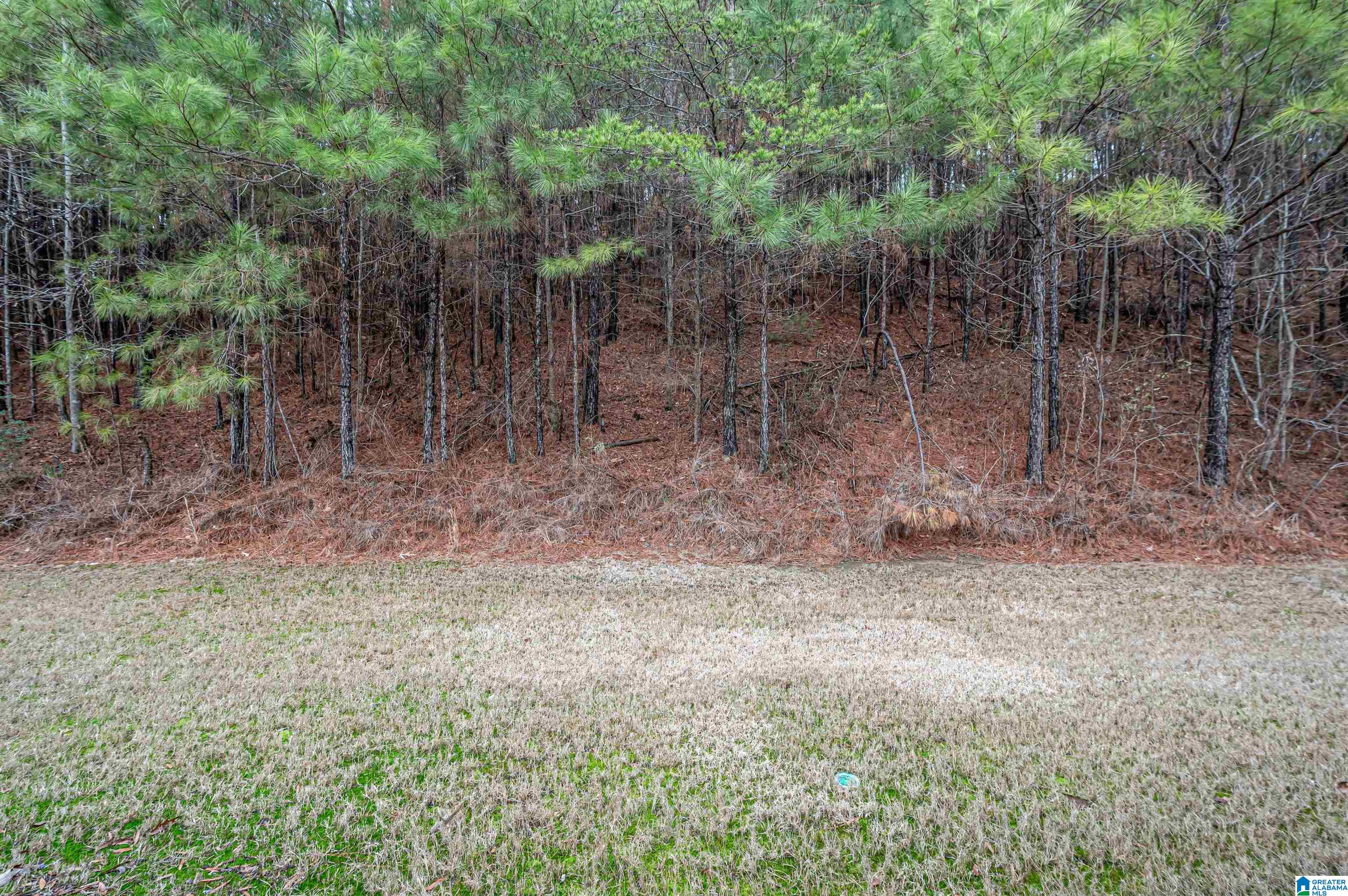 1146 Inverness Cove Way Birmingham, AL 35242 - Photo 37 of 38
