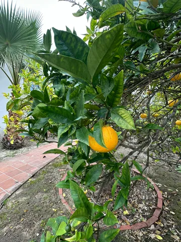 a backyard of a house with a yard and outdoor seating