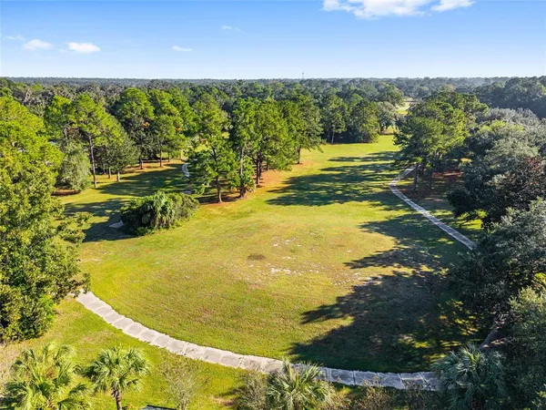 a view of a park with large trees