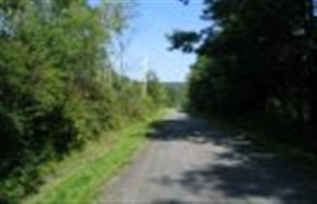 240 Lape Road Esperance, NY 12066 - Photo 3 of 4 Photo 3