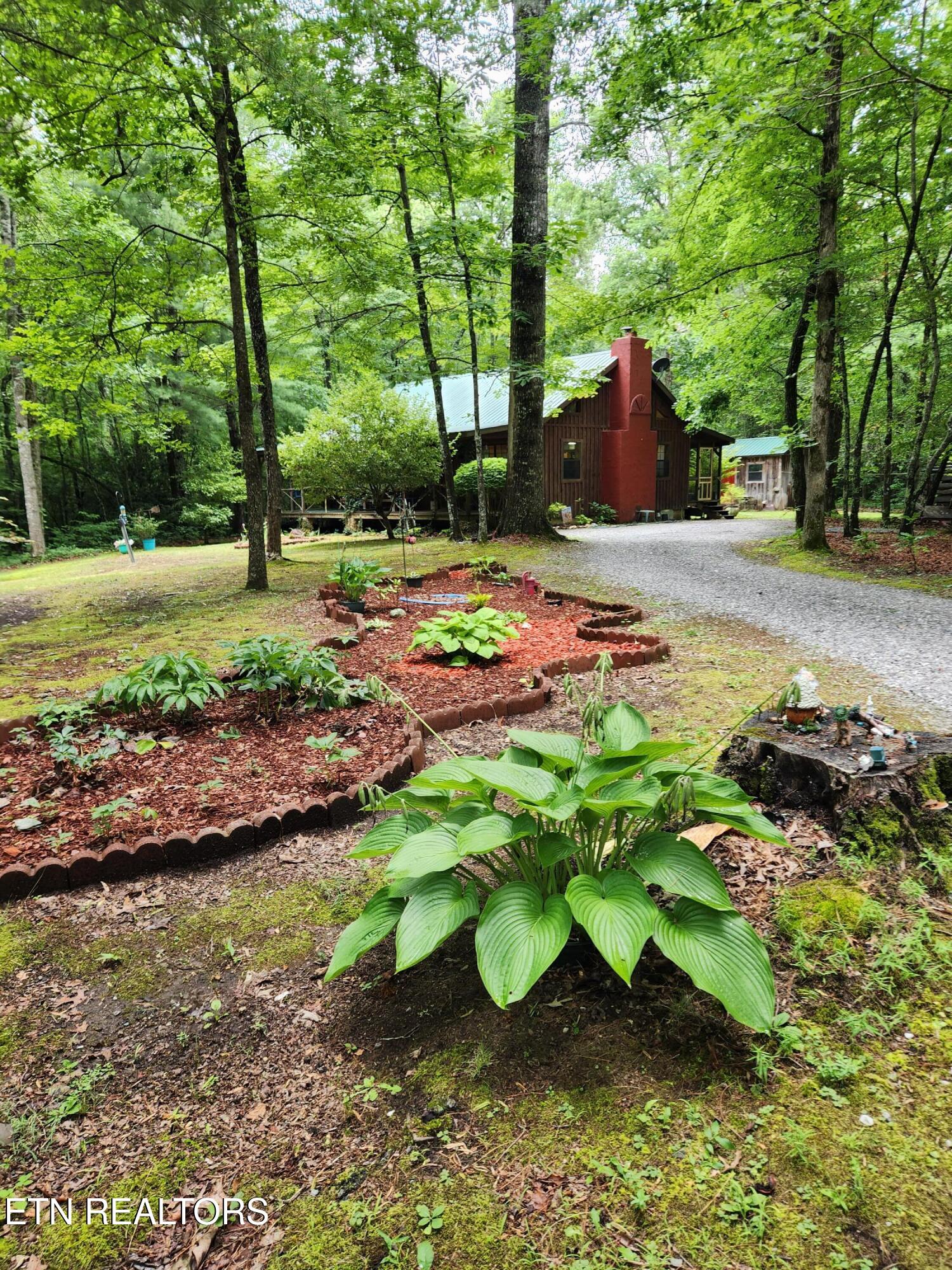108 Gold Miners Road Tellico Plains, TN 37385 - Photo 3 of 35 landscaping