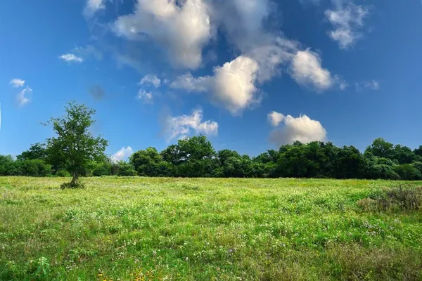 $1,975,000 | Tbd Holle Lane, Washington, TX 77880
