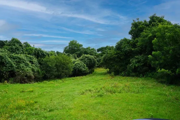 $1,975,000 | Tbd Holle Lane, Washington, TX 77880