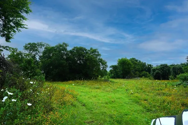 $1,975,000 | Tbd Holle Lane, Washington, TX 77880