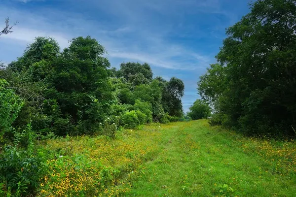 $1,975,000 | Tbd Holle Lane, Washington, TX 77880