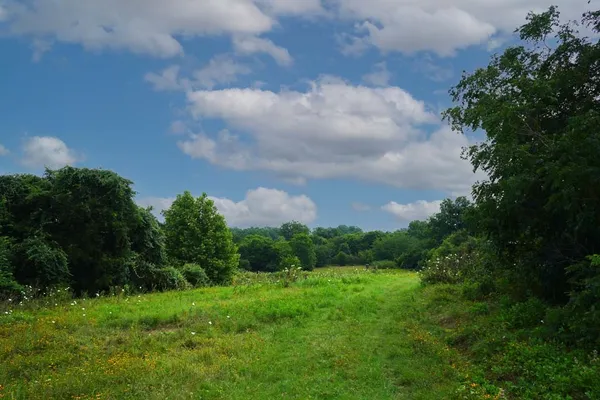 $1,975,000 | Tbd Holle Lane, Washington, TX 77880