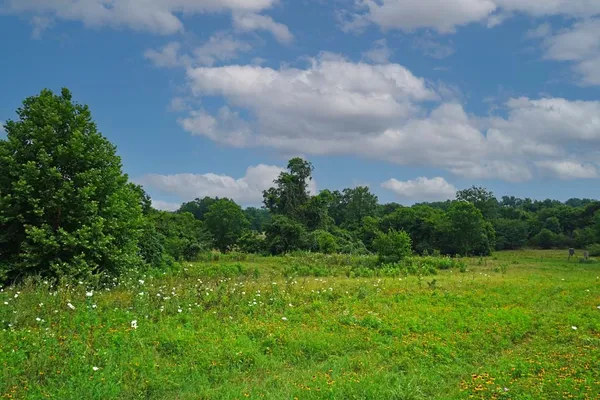 $1,975,000 | Tbd Holle Lane, Washington, TX 77880