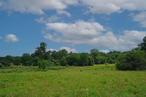 $1,975,000 | Tbd Holle Lane, Washington, TX 77880