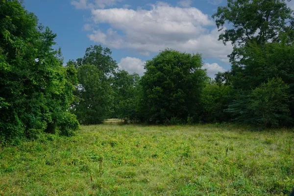 $1,975,000 | Tbd Holle Lane, Washington, TX 77880