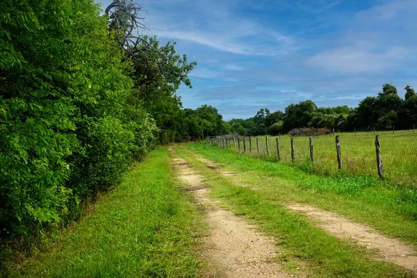 $1,975,000 | Tbd Holle Lane, Washington, TX 77880