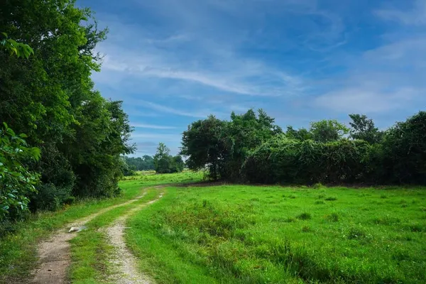 $1,975,000 | Tbd Holle Lane, Washington, TX 77880