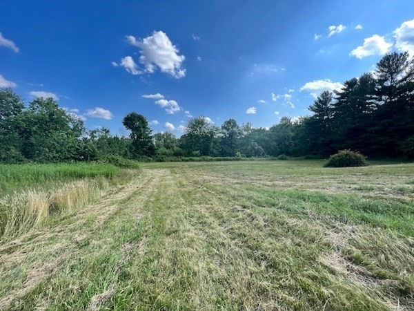233 Mort Vining Road Southwick, MA 01077 - Photo 17 of 31