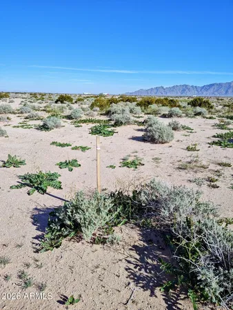 a view of a beach with a ocean view