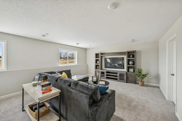 $539,900 | 676 Goldenrod, Delano, MN 55328