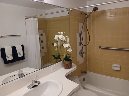 a bathroom with a sink and a shower