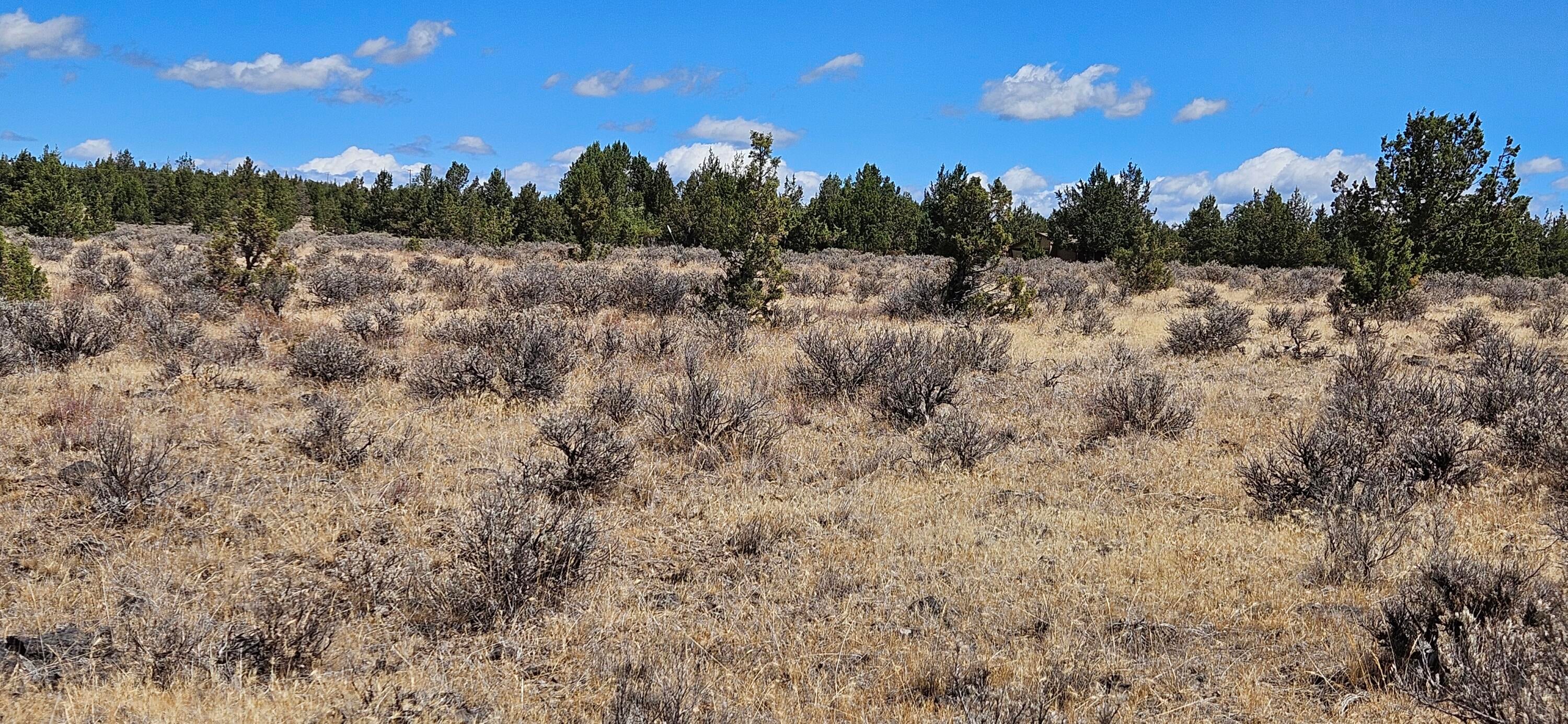 7537 Southeast Thomas Road Prineville, OR 97754 - Photo 5 of 28 1000012526
