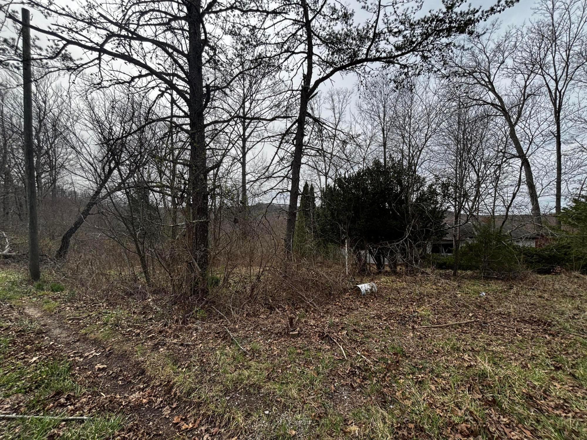 799 Woodruff Road Vinton, OH 45686 - Photo 6 of 8 IMG_2215