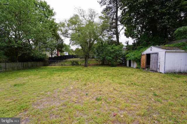 a view of a backyard with a garden and trees