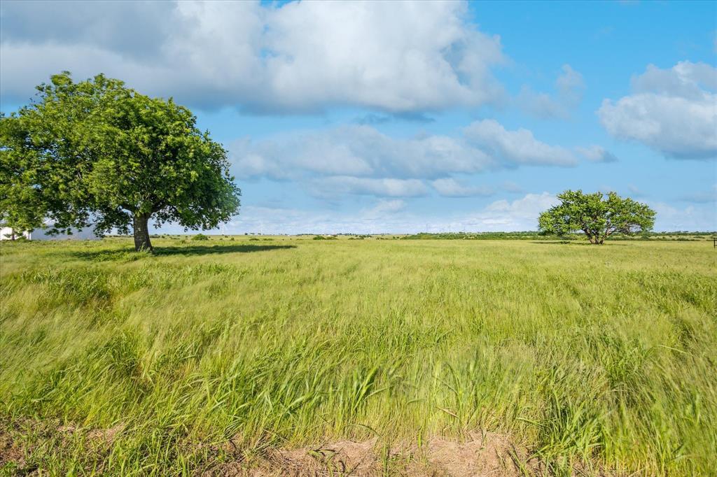 373 FM 373 South Muenster, TX 76252 - Photo 12 of 31 a view of yard with swimming pool and trees in the background