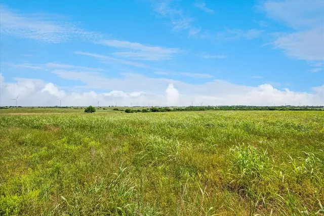 a view of yard with ocean view