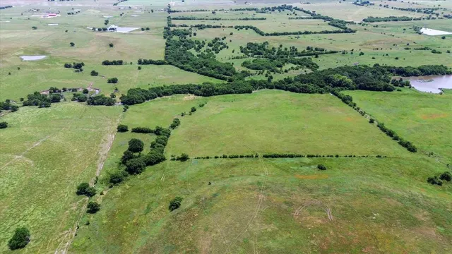 a view of a large garden with lots of green space