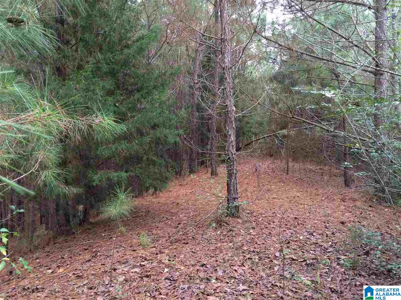 Page Spring Road, Unit 4 Arab, AL 35016 - Photo 5 of 29