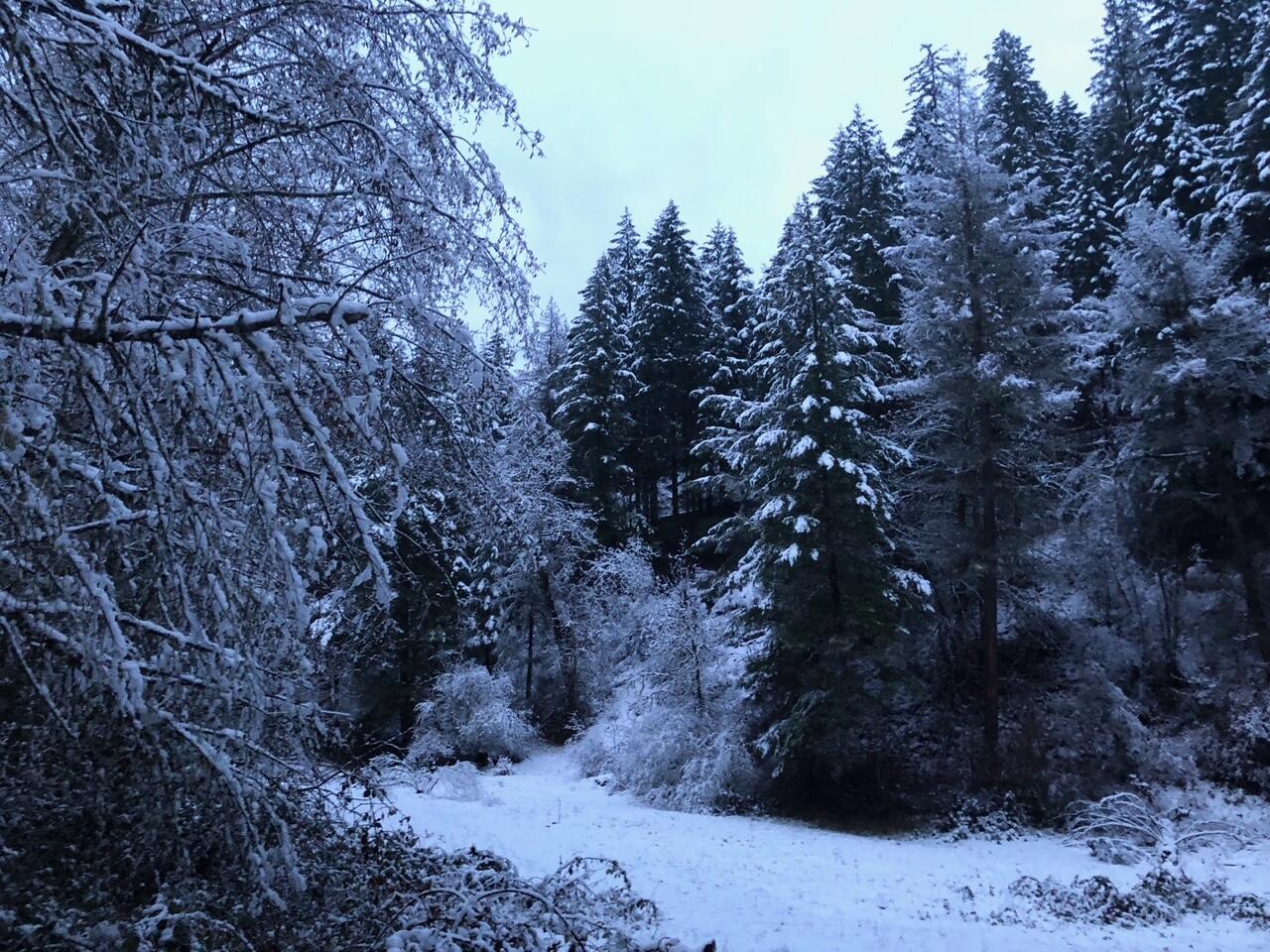52 Dodes Creek Road Trail, OR 97541 - Photo 99 of 110 Winter Wonderland