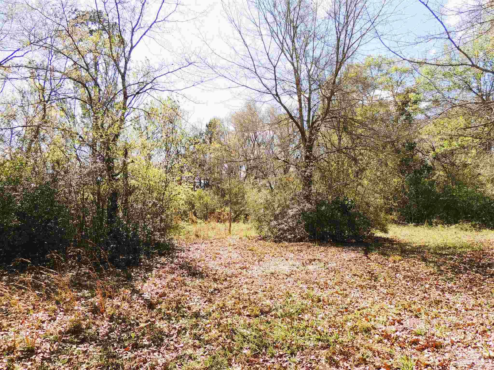 309 Crowndale Road Cantonment, FL 32533 - Photo 3 of 8