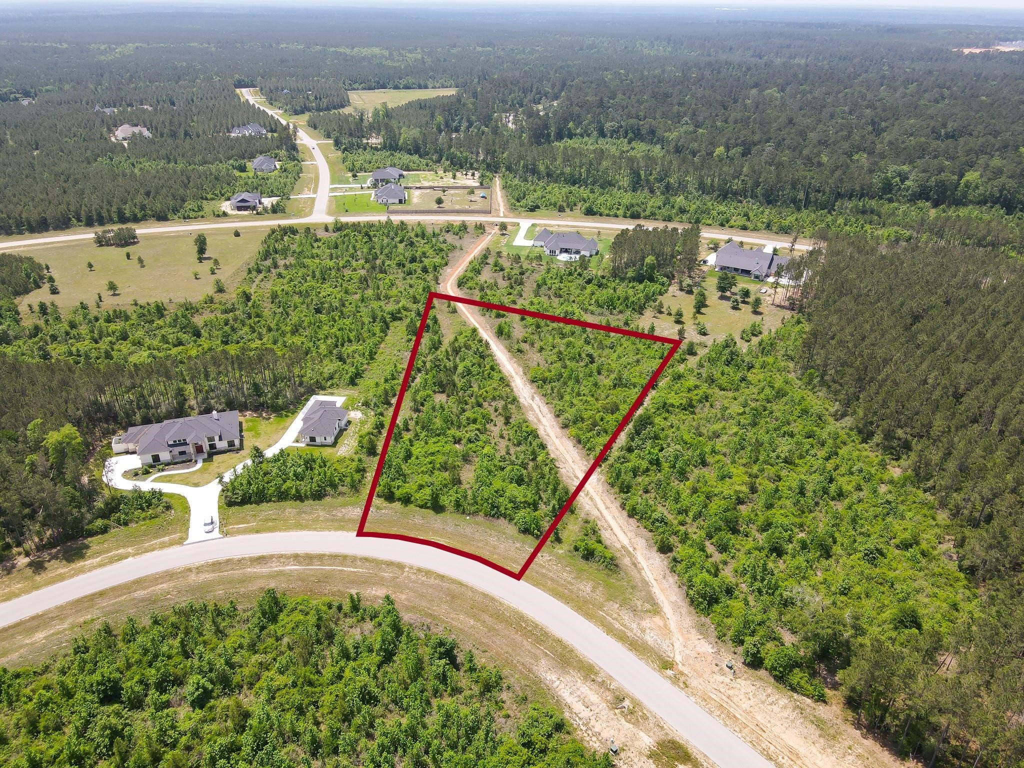 16089 Forest Mill Road Willis, TX 77378 - Photo 2 of 12